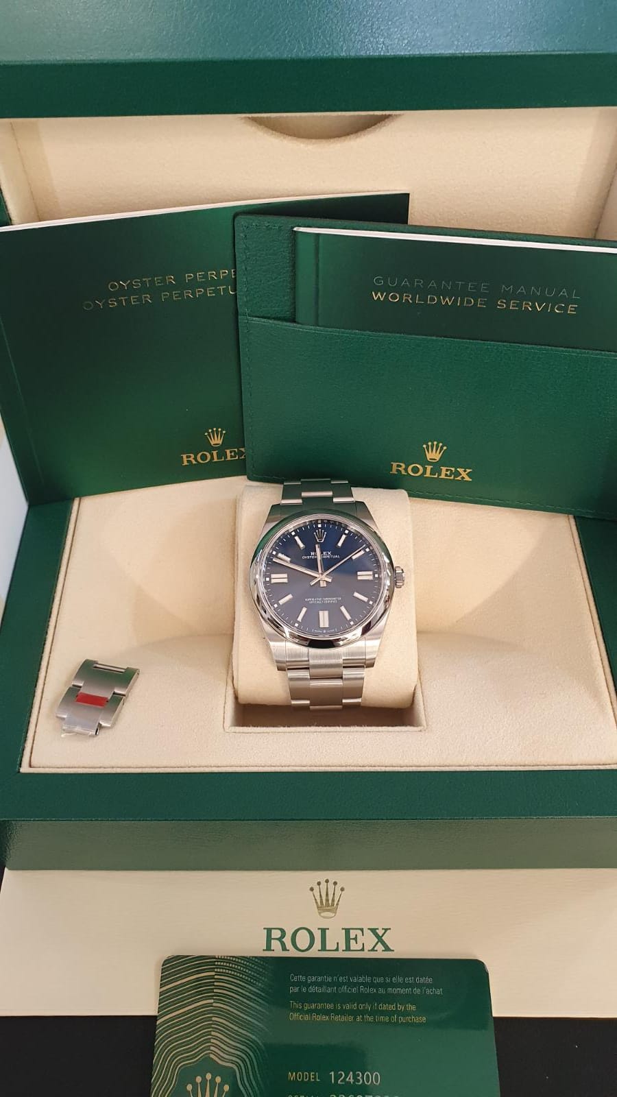 fiabilidad Hablar con cerca Reloj Rolex Oyster Perpetual 41mm Blue 124300 | Elekton Watches